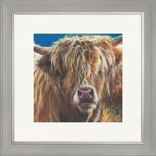 Load image into Gallery viewer, Hetty