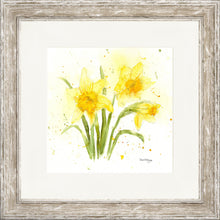 Load image into Gallery viewer, Daffodils