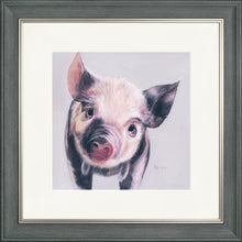 Load image into Gallery viewer, Pedro