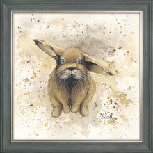 Load image into Gallery viewer, Colourful Benji
