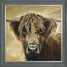 Load image into Gallery viewer, Colourful Hamish
