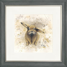 Load image into Gallery viewer, Colourful Benji