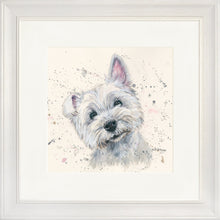 Load image into Gallery viewer, Fergal