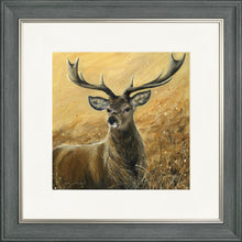 Load image into Gallery viewer, Sterling