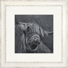 Load image into Gallery viewer, Dougal 2