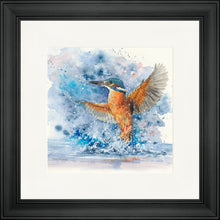 Load image into Gallery viewer, Colourful Kingfisher