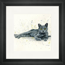 Load image into Gallery viewer, Midnight