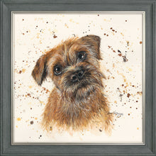 Load image into Gallery viewer, Buddy