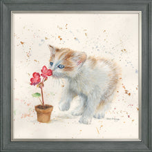 Load image into Gallery viewer, Fizz