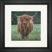 Load image into Gallery viewer, Isla