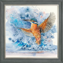 Load image into Gallery viewer, Colourful Kingfisher