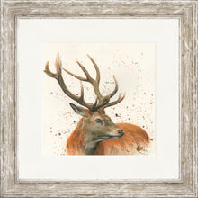 Load image into Gallery viewer, Sutherland