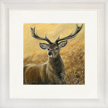 Load image into Gallery viewer, Sterling