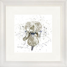 Load image into Gallery viewer, Grey Iris
