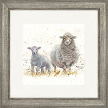 Load image into Gallery viewer, Ewe Beauties