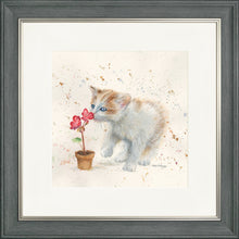 Load image into Gallery viewer, Fizz