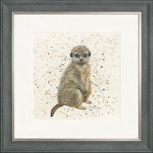 Load image into Gallery viewer, Marcus