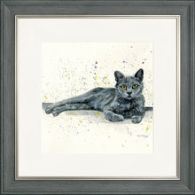 Load image into Gallery viewer, Midnight