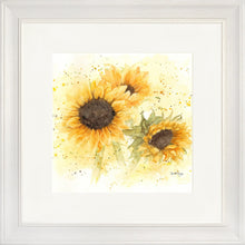 Load image into Gallery viewer, Sunflowers