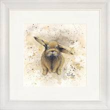 Load image into Gallery viewer, Colourful Benji