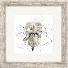 Load image into Gallery viewer, Grey Iris