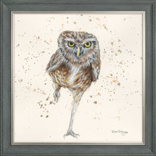 Load image into Gallery viewer, Oliver