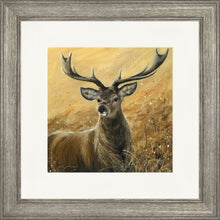 Load image into Gallery viewer, Sterling