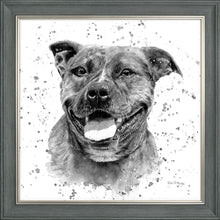 Load image into Gallery viewer, Scout B&W