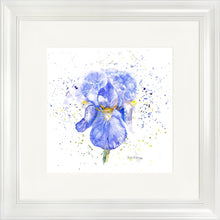 Load image into Gallery viewer, Blue Iris