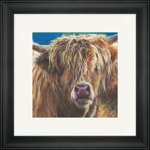 Load image into Gallery viewer, Hetty
