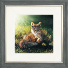 Load image into Gallery viewer, Finn