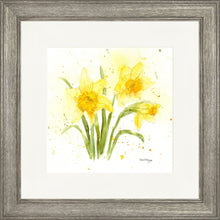 Load image into Gallery viewer, Daffodils