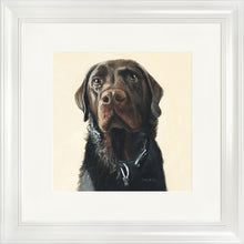 Load image into Gallery viewer, Amos
