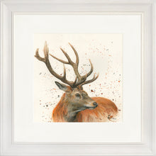 Load image into Gallery viewer, Sutherland