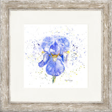 Load image into Gallery viewer, Blue Iris