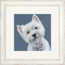 Load image into Gallery viewer, Finley