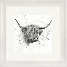 Load image into Gallery viewer, Donal