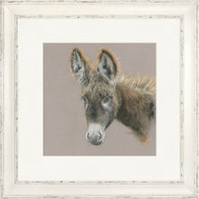 Load image into Gallery viewer, Dolores