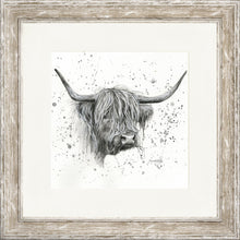 Load image into Gallery viewer, Donal