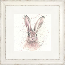 Load image into Gallery viewer, Halo