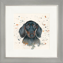 Load image into Gallery viewer, Sid