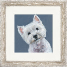 Load image into Gallery viewer, Finley