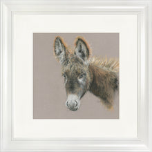 Load image into Gallery viewer, Dolores
