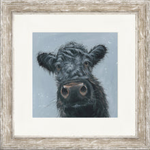 Load image into Gallery viewer, Madge