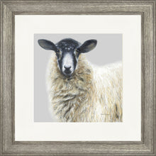 Load image into Gallery viewer, Shelley