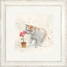 Load image into Gallery viewer, Fizz