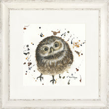 Load image into Gallery viewer, Orson