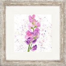 Load image into Gallery viewer, Sweet Peas