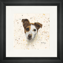 Load image into Gallery viewer, Jake