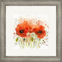 Load image into Gallery viewer, Poppies